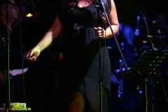 the-showers-concerto-Cisterna-di-latina-2012-0037