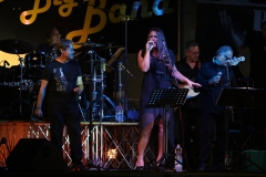 the-showers-concerto-Cisterna-di-latina-2012-0048