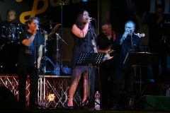 the-showers-concerto-Cisterna-di-latina-2012-0050