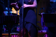 the-showers-concerto-Cisterna-di-latina-2012-0060