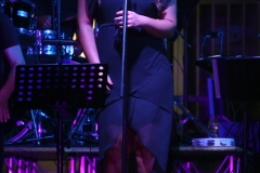the-showers-concerto-Cisterna-di-latina-2012-0064