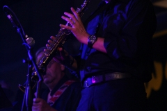 the-showers-concerto-Cisterna-di-latina-2012-0135