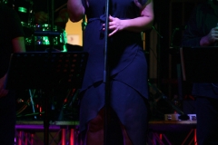 the-showers-concerto-Cisterna-di-latina-2012-0144