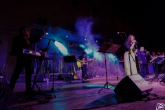 the-showers-live-Cisterna-estate-2014