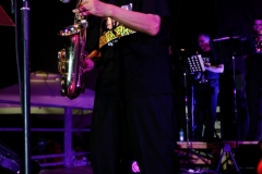 the-showers-live-Cisterna-estate-2014