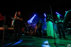 the-showers-live-Cisterna-estate-2014