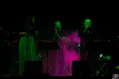 the-showers-live-Cisterna-estate-2014
