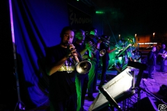 the-showers-live-Cisterna-estate-2014