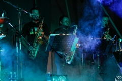 the-showers-live-Cisterna-estate-2014