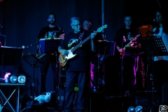 the-showers-live-Cisterna-estate-2014