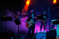 the-showers-live-Cisterna-estate-2014