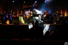 the-showers-live-Cisterna-estate-2014