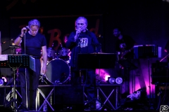 the-showers-live-Cisterna-estate-2014