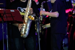 the-showers-live-Cisterna-estate-2014