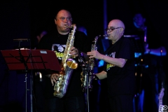 the-showers-live-Cisterna-estate-2014
