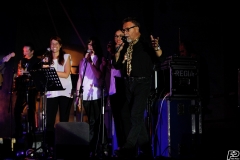 the-showers-live-Cisterna-estate-2014
