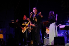 the-showers-live-Cisterna-estate-2014