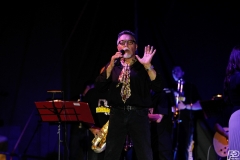 the-showers-live-Cisterna-estate-2014