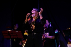 the-showers-live-Cisterna-estate-2014
