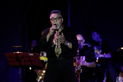 the-showers-live-Cisterna-estate-2014
