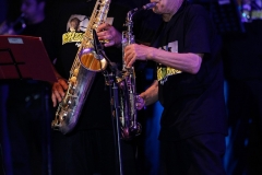 the-showers-live-Cisterna-estate-2014
