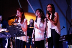 the-showers-live-Cisterna-estate-2014