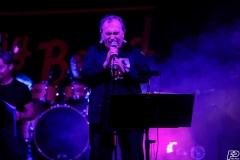 the-showers-live-Cisterna-estate-2014