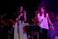the-showers-live-Cisterna-estate-2014