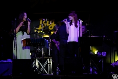 the-showers-live-Cisterna-estate-2014
