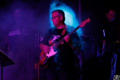 the-showers-live-Cisterna-estate-2014