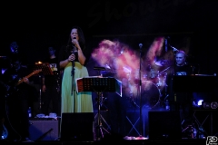 the-showers-live-Cisterna-estate-2014