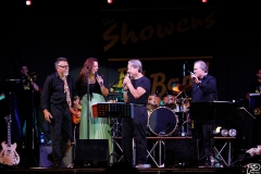 the-showers-live-Cisterna-estate-2014