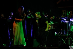 the-showers-live-Cisterna-estate-2014