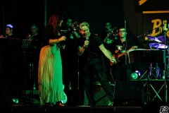 the-showers-live-Cisterna-estate-2014