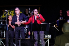 the-showers-live-Cisterna-estate-2014