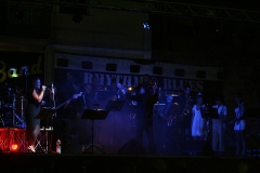 the-showers-concerto-Cisterna-di-latina-2012-0167